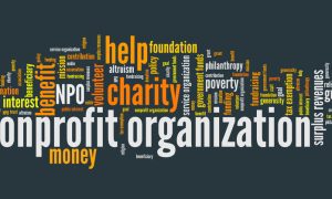 Word cloud centered around the theme of nonprofit organizations, featuring prominent terms like "nonprofit," "organization," "charity," "volunteer," "donation," "foundation," "philanthropy," "public interest," "grant," "trust," "tax exemption," and "surplus revenues," visually emphasizing the values and functions of nonprofit entities.