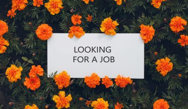 White paper poster on flowerbed. Blank template sheet with inscription Looking for a job in flowers