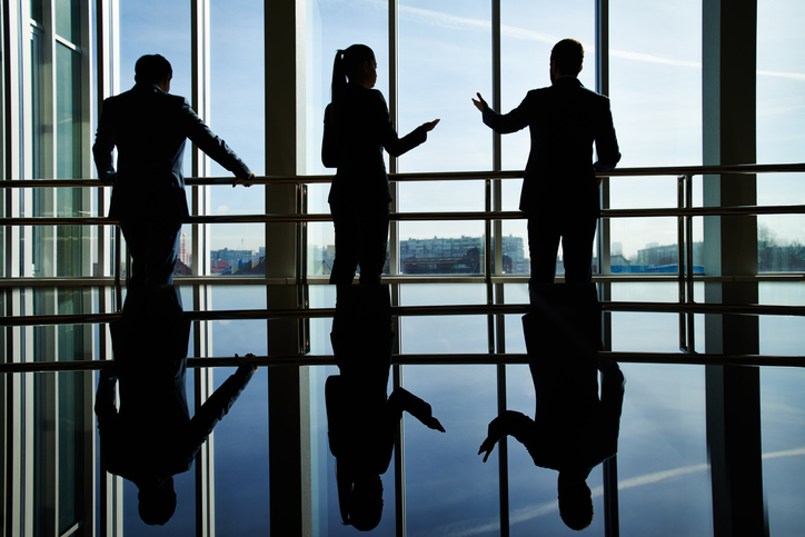 Business professionals collaborating on enterprise software implementation, workforce planning, data-driven decision-making, and long-term business growth.
